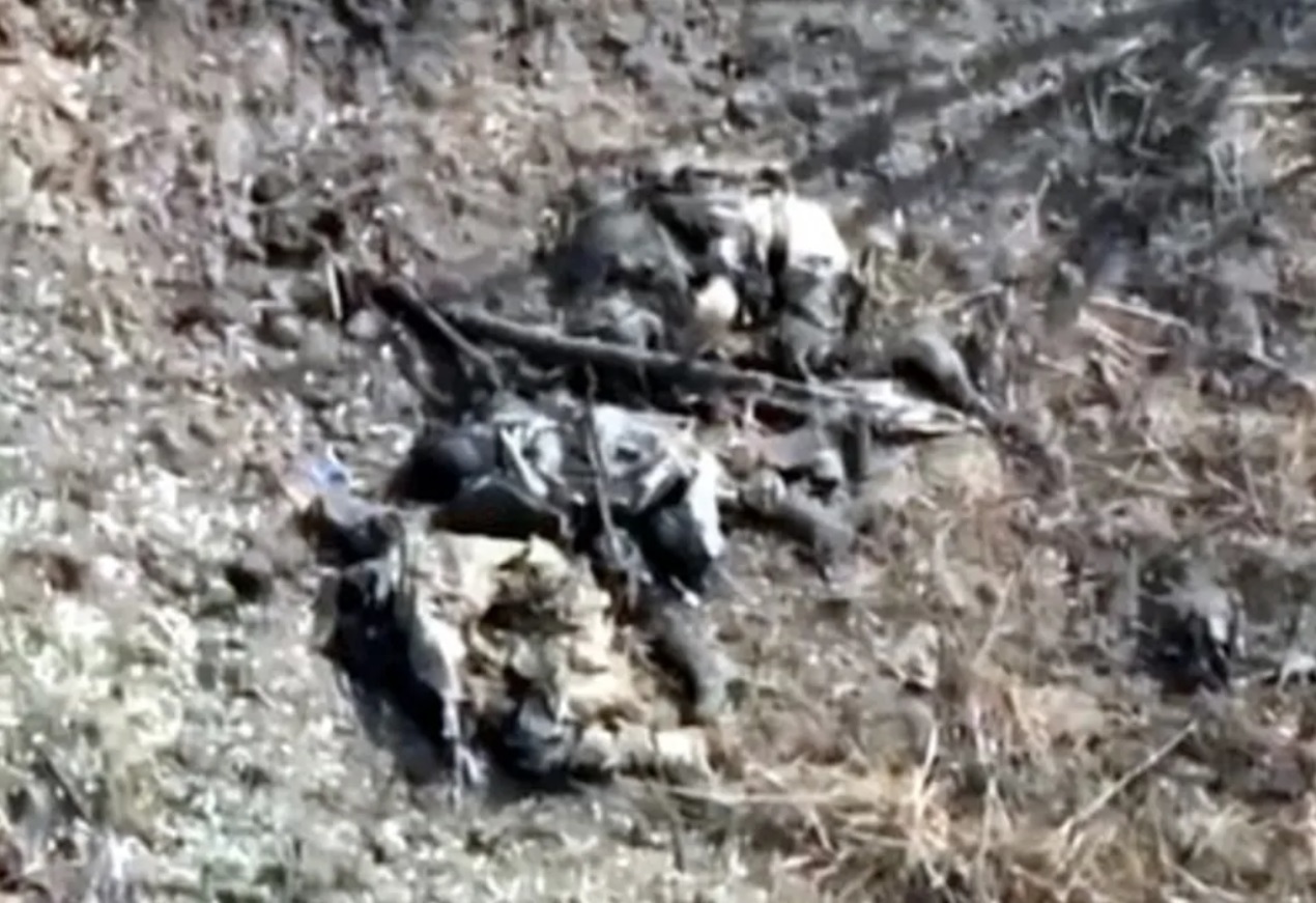 Мертвые русские солдаты телеграмм фото 29