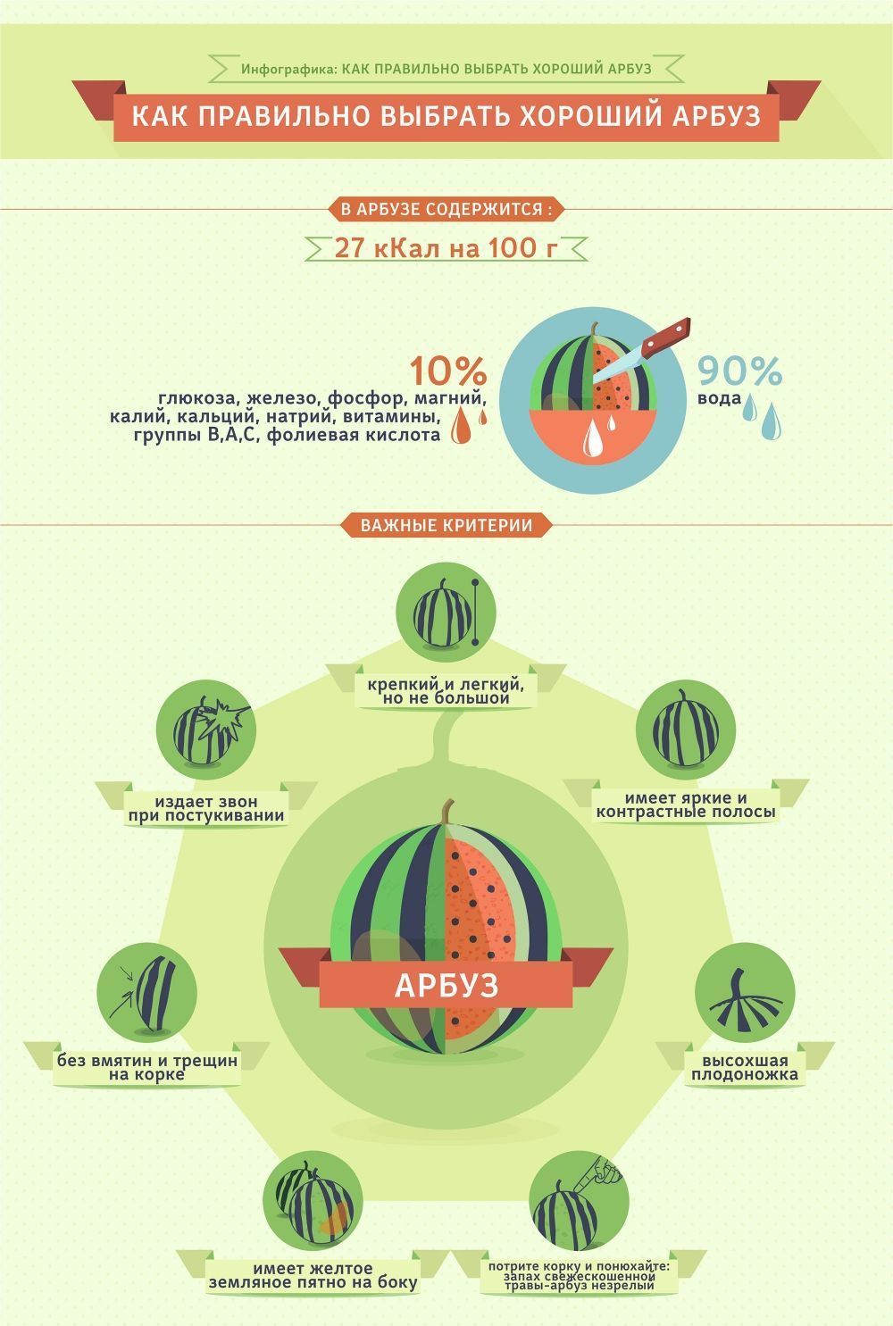 Какие витамины содержит арбуз. Как выбрать Арбуз инфографика. Как выбрать Арбуз. Арбуз инфографика. Как правильно выбрать Арбуз.