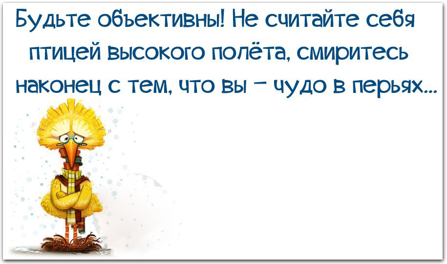 С тем что на. Цитаты про чудо в перьях. Чудо в перьях картинки прикольные. Чудо в перьях шутка. Чудо в перьях юмор.