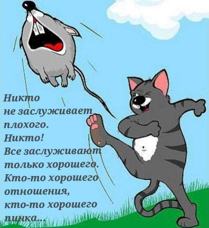 Пинок коту картинка