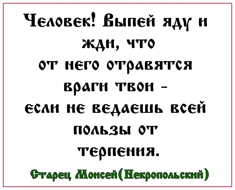 Выпей яду. Картинки выпей яду тварь. Выпей отвары трав отравы тварь. Анекдот выпей отравы тварь. Анекдот т9 выпей яду.