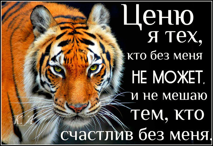 Картинка с надписью не мешай