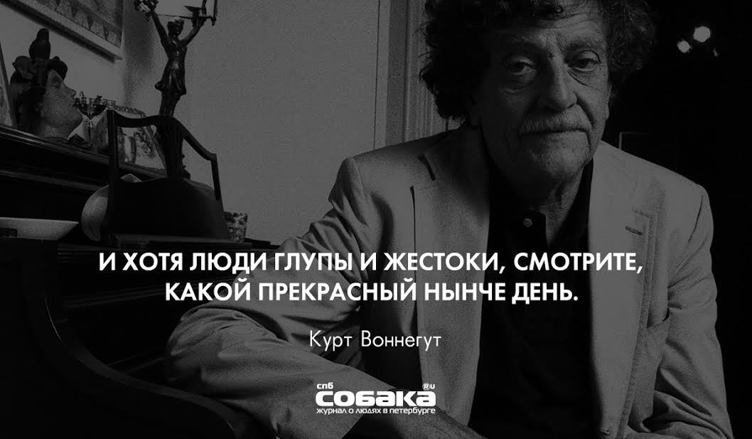 Картинки о глупости мужчин